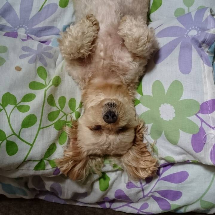 23de1ac7 ed14 4901 a040 b8f31708a407 1597722342607