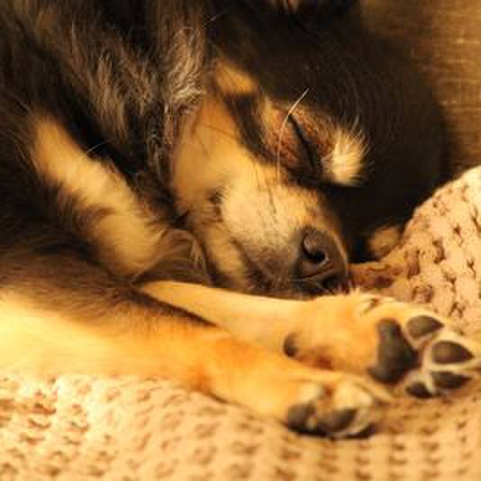 23de1b97 a6bd 4cde ae3a 0691708021e2 1538481549847