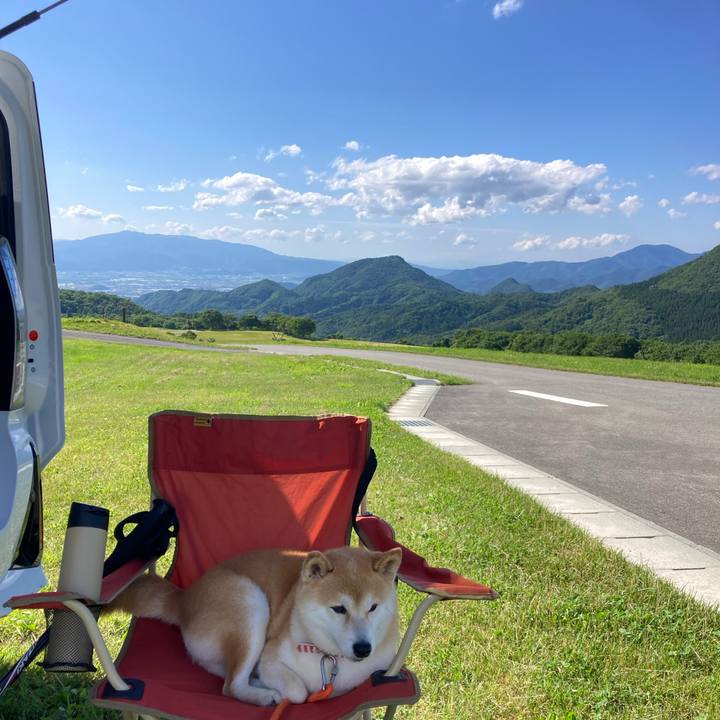 23de4e2e 1444 45ac b281 1f13ba8a2ede 1750140924585