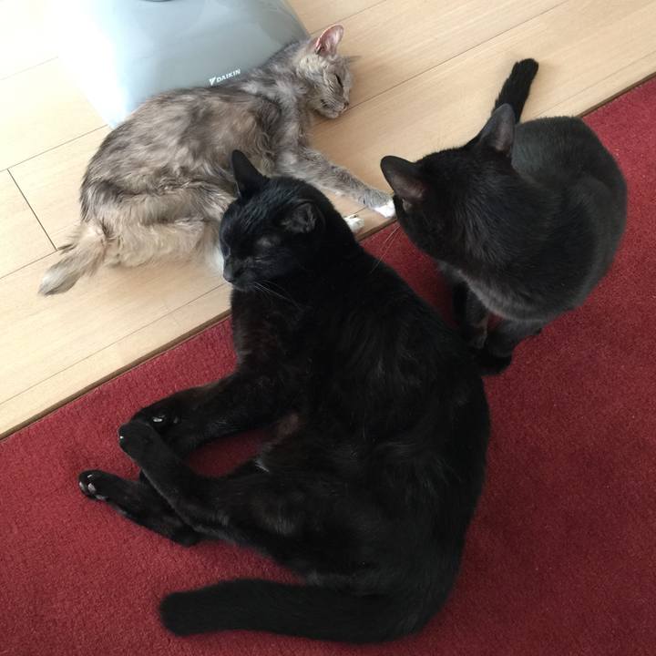 23de9217 8383 4d11 b134 cdd4d146d9fb 1514788087116