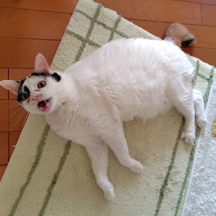 23deb9f6 07b3 49b6 a05d df8426d09f67 1736725524470