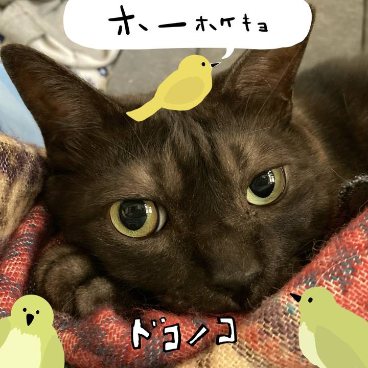 23dedb5c a71e 4d5a 9338 551d598c14a1 1711023858454