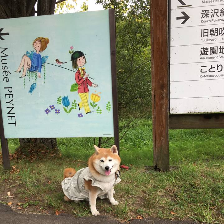 23dee144 d544 46b4 b1a2 46330c228d30 1535525016874