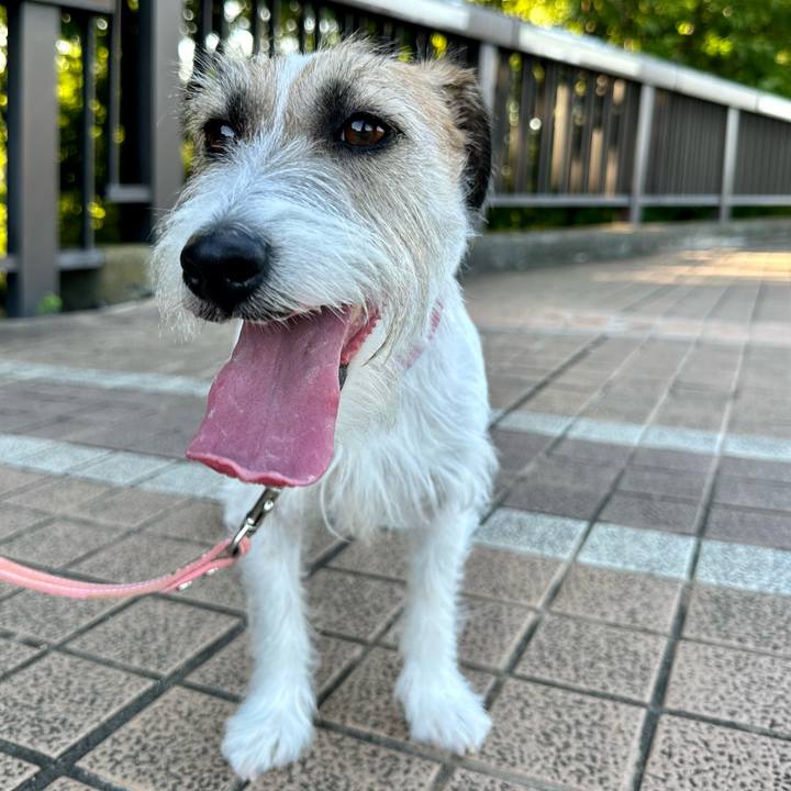 23df267b d262 4238 9e9f 58643ed90fb9 1687005338659