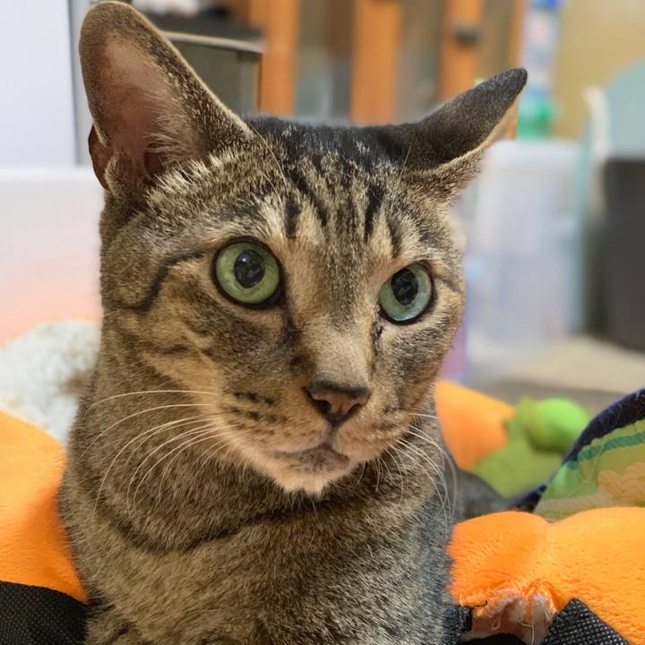 23df759d f1af 47af 9ae2 914480a389d4 1560042760778