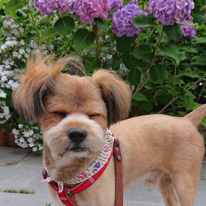 23dfa139 b344 4642 baaa 9b12011c3e97 1561154850872