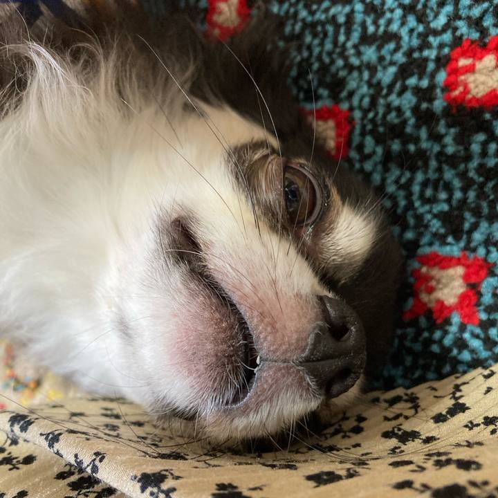 23dfa9e0 63a0 4f60 9569 13bf9bbf47d4 1696085334639