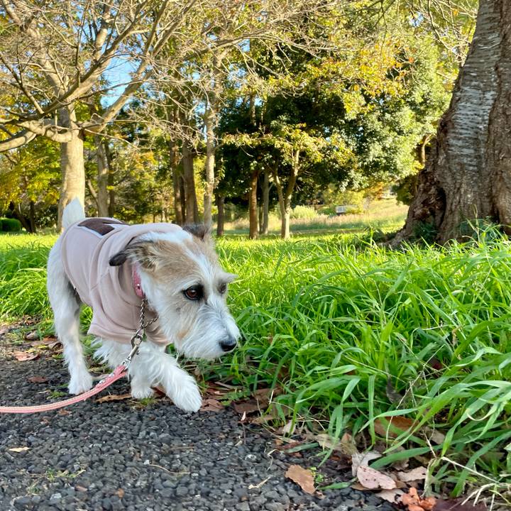 23e041f7 97aa 41bd b54c a6d3ee178b0e 1668580546744