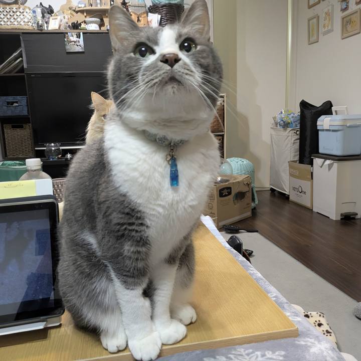 23e04d1d ce25 451f 893b 38808f7ffe65 1771344432984