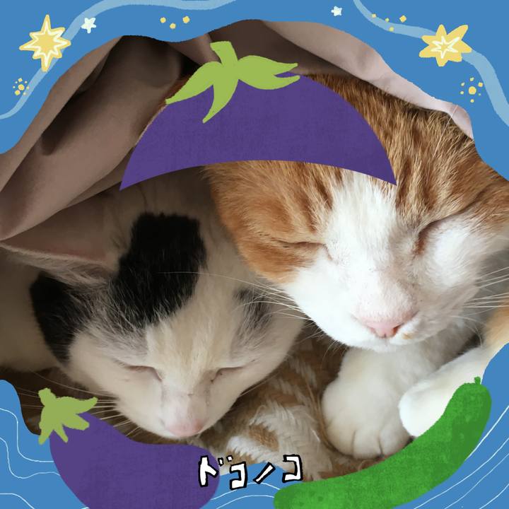 23e0c3b2 ae1c 42ee b96f d61823e2e734 1755083260161