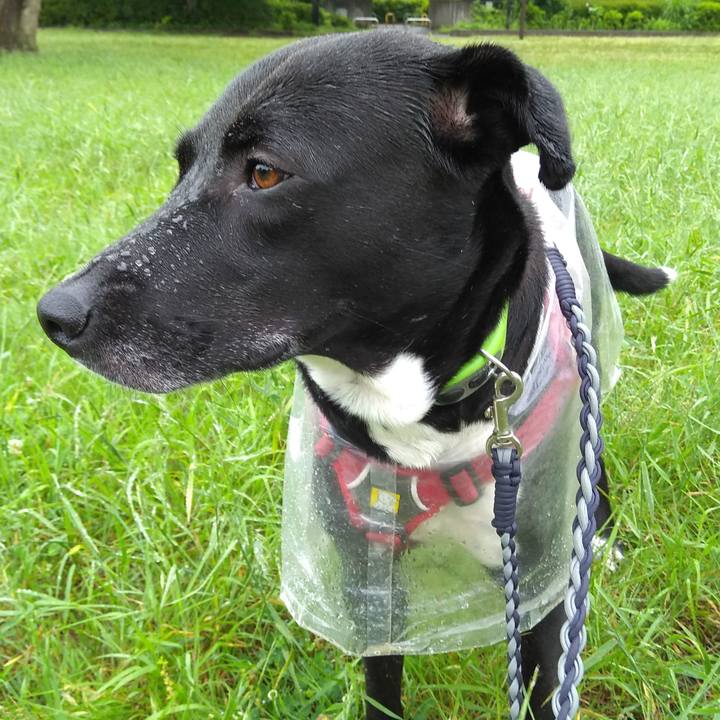 23e0d725 c17d 4b8f 83eb 7df73dab7163 1622763358501