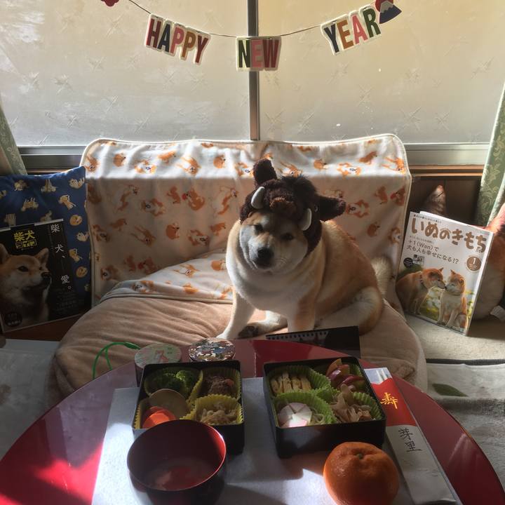 23e0e632 0c3e 4f15 866a 5c8ad8e43840 1546313554633