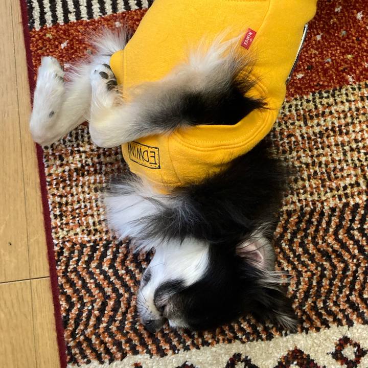 23e0f1fe b1c6 47b2 86fd 36919b1e2155 1677386807897