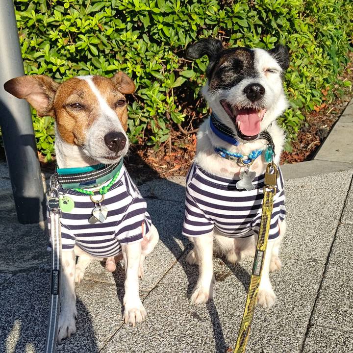 23e0fb07 f9bc 46df 90dc f3b9ed61e06d 1694557054175