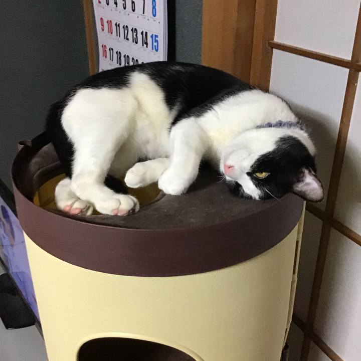 23e1662a 1cdc 4b4b 9340 36d2bf832cf8 1642844598610