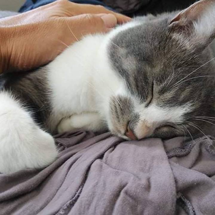 23e174c6 1d02 44bd 846c 8da987b1f223 1627698053752