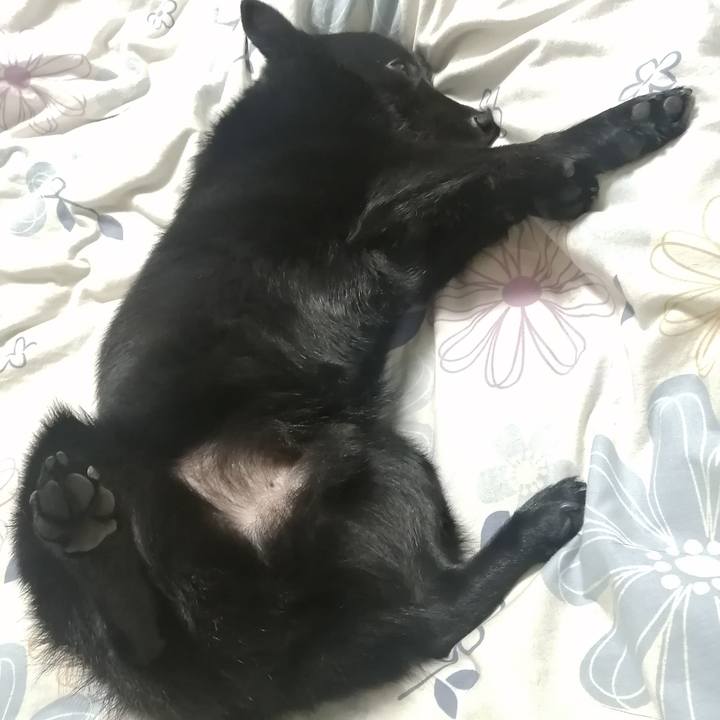 23e179b6 756d 40a1 836c bd694adcf10f 1644846216660