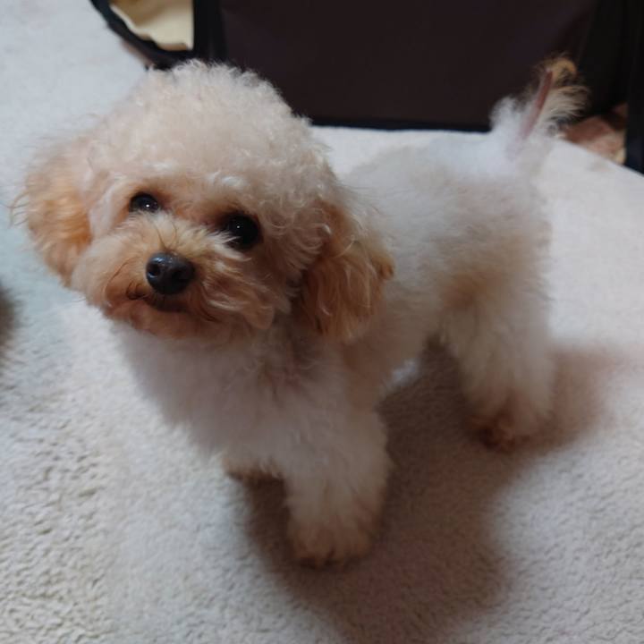 23e17b55 5b6a 4302 b2ea 2308699bec10 1769676097515