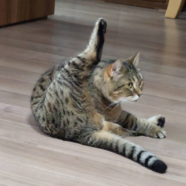 23e1dfc4 5ef9 4066 b32e 2235123baf29 1748648741640