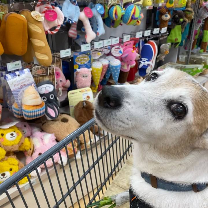 23e1ea56 3e6d 4946 a608 758941d54746 1631943091957