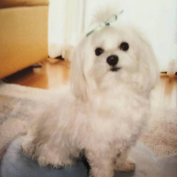 23e20af4 4d0f 43e9 8956 ff228db0bee2 1696781478993