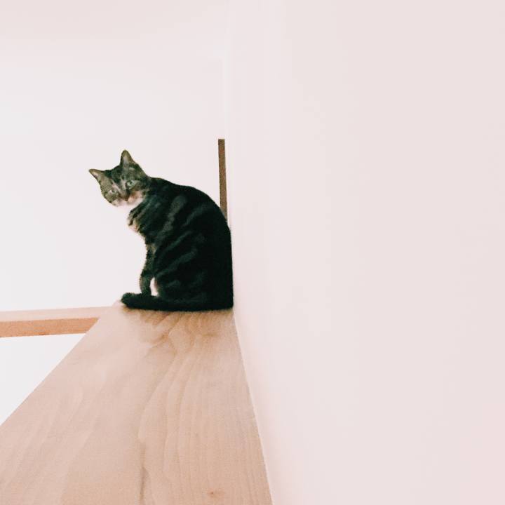 23e22f9f a1ce 4bfa 9c34 e5c3fb4b6478 1589675574514