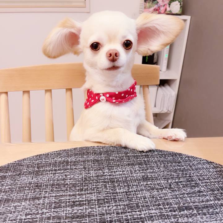 23e244b9 e028 4cee bbf1 0cb9b7cf482b 1685697067915