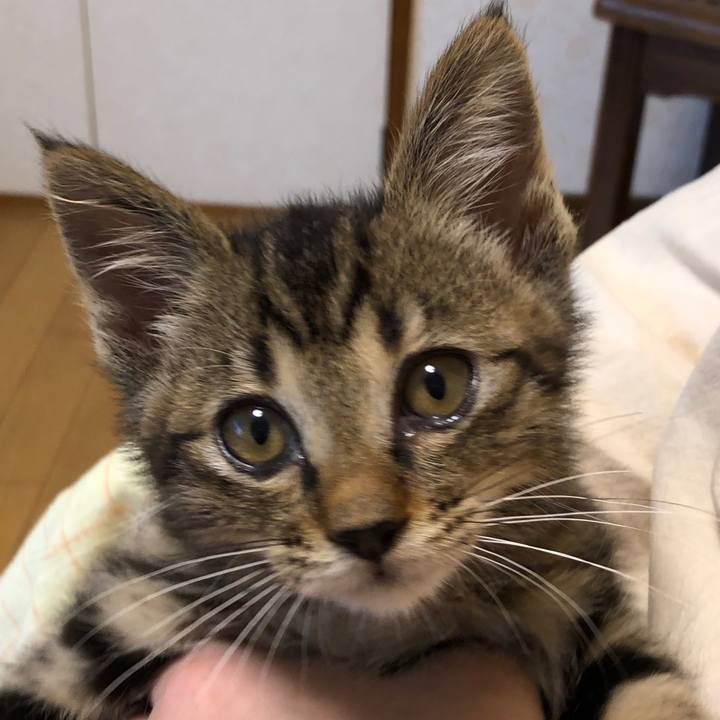 23e262f2 cb9d 4ff3 9626 b7357307516a 1725107833701