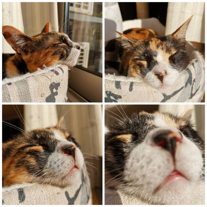 23e26612 e2fc 4666 b4c7 5af7f6203105 1633407498677