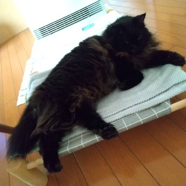 23e28ce0 38c1 489e 997b 6cf30ec734f7 1699744819975