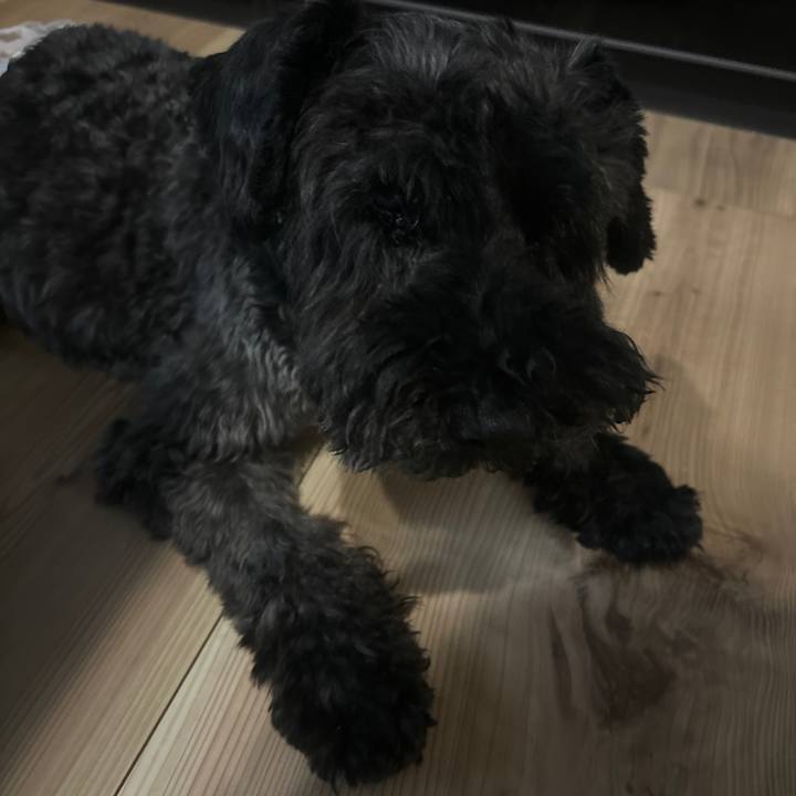 23e310c4 4076 43d6 92f0 f5b03bbdc159 1722500992927