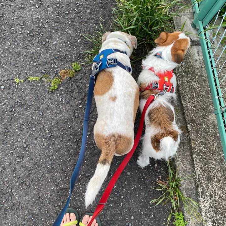 23e321a4 14f2 4d1d 84d5 94b0c6a8f135 1684705514391