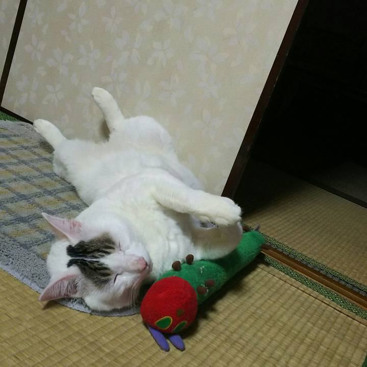 23e32b90 c0ef 4ab1 92df 1c2e6fa116f0 1511181831922