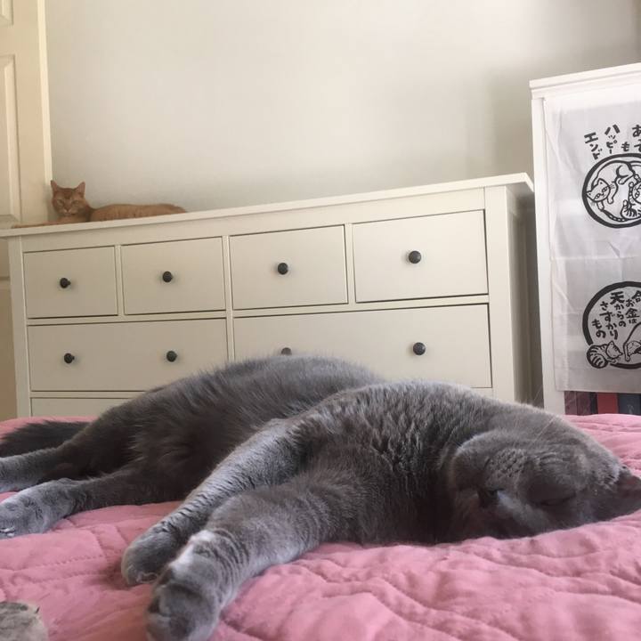 23e34800 54cb 413e b245 bd00fb9bd421 1653702781257