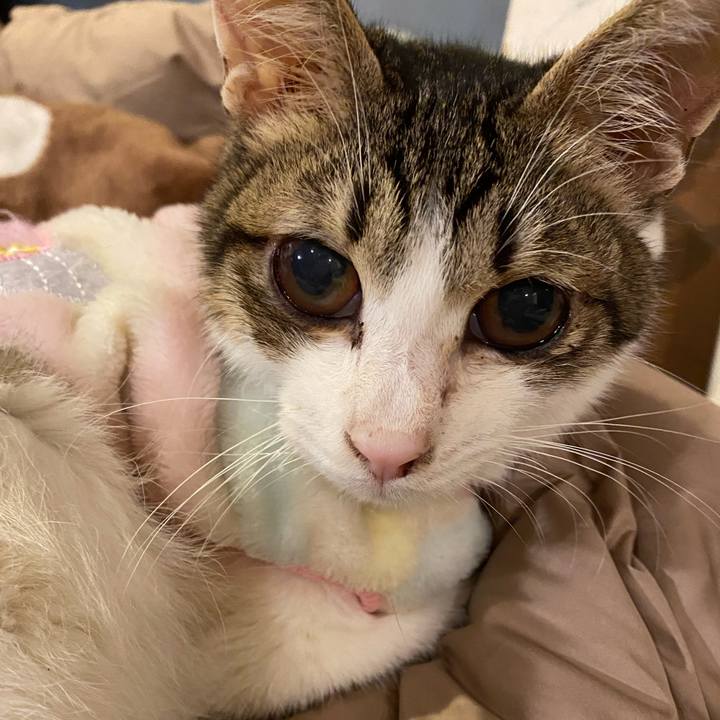 23e371b6 9e7e 4bf6 8c5a f0addc41872f 1706957489177