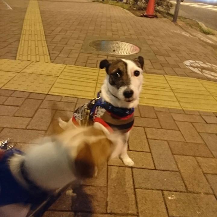 23e38da1 5155 46a8 a3f7 bf191683ab66 1523922633876