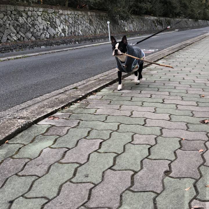 23e3cde3 cbc5 46d3 a872 6e28dfd7f66d 1519349781337