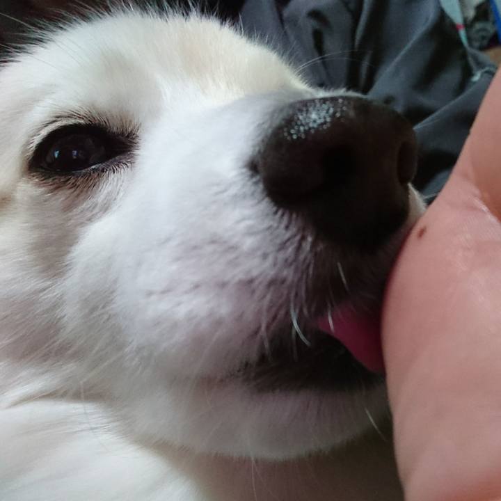 23e3d07e ce65 4b6c b65d 4808f114c5bb 1518865222647