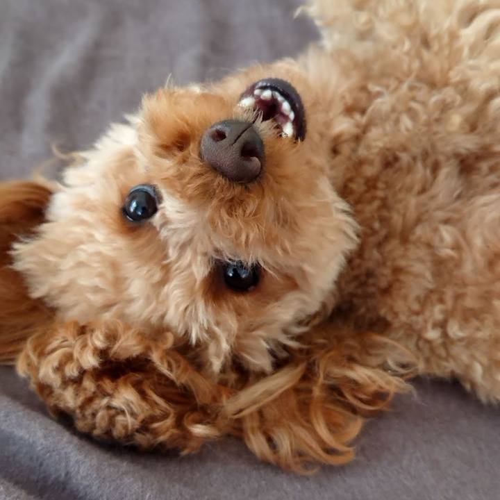 23e3d7aa 56d7 4564 acc6 f5a72f167b57 1772678465675