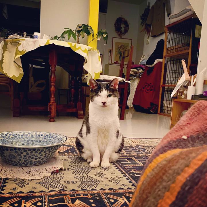 23e3e652 7e51 4758 a949 d5b363e188d6 1581515790737