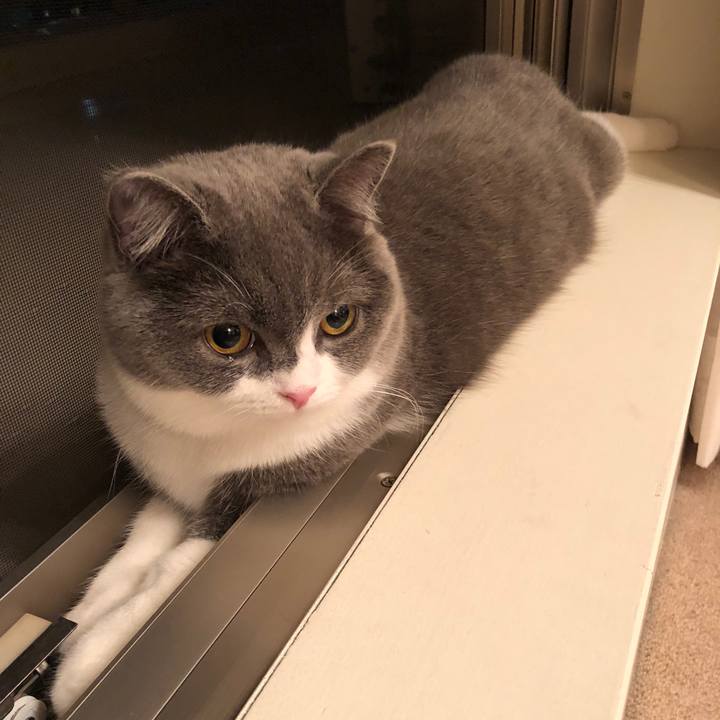 23e418d0 2a1b 400b 985e c5887c2cff7c 1525179870660