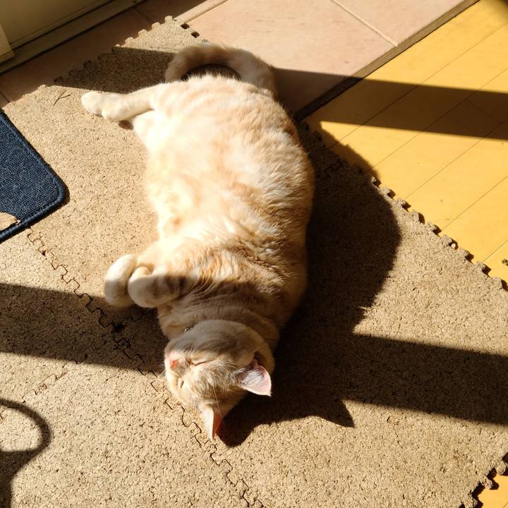 23e41abd 3933 4b6a a38a a249ae5cbbdd 1604995754879