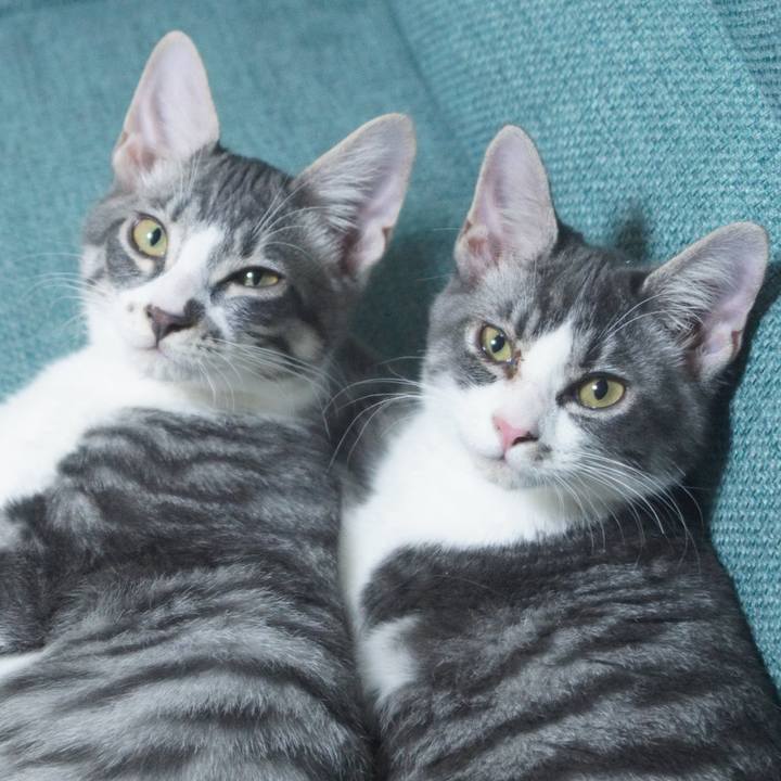 23e41edf 2d66 4c75 9eb8 9d249990a9b7 1758978594763