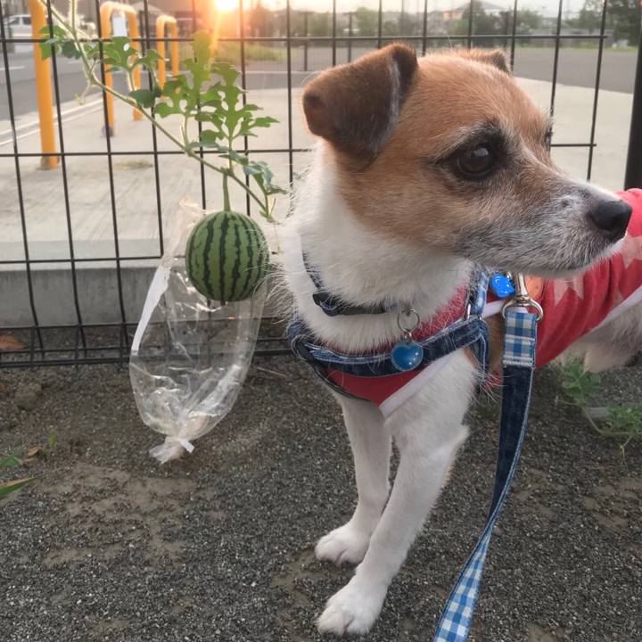 23e44a3a 286e 446f a295 2df05ebf4d58 1535758121494