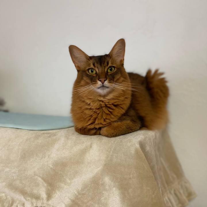 23e4519c 76f0 49ec b401 f901ad66a5c8 1694153865115