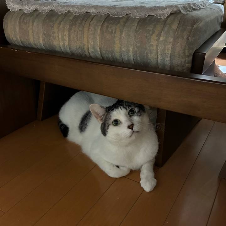 23e4550d 892b 481e a4bd 93b635fa33be 1768863637690