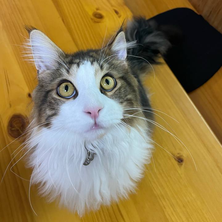 23e47d86 638d 4d03 bec9 1bf4ff383a1d 1646344978517