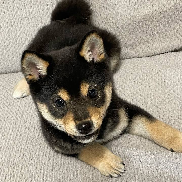 23e495dc a523 4a72 af3e 434fefcdcbc9 1679392395914