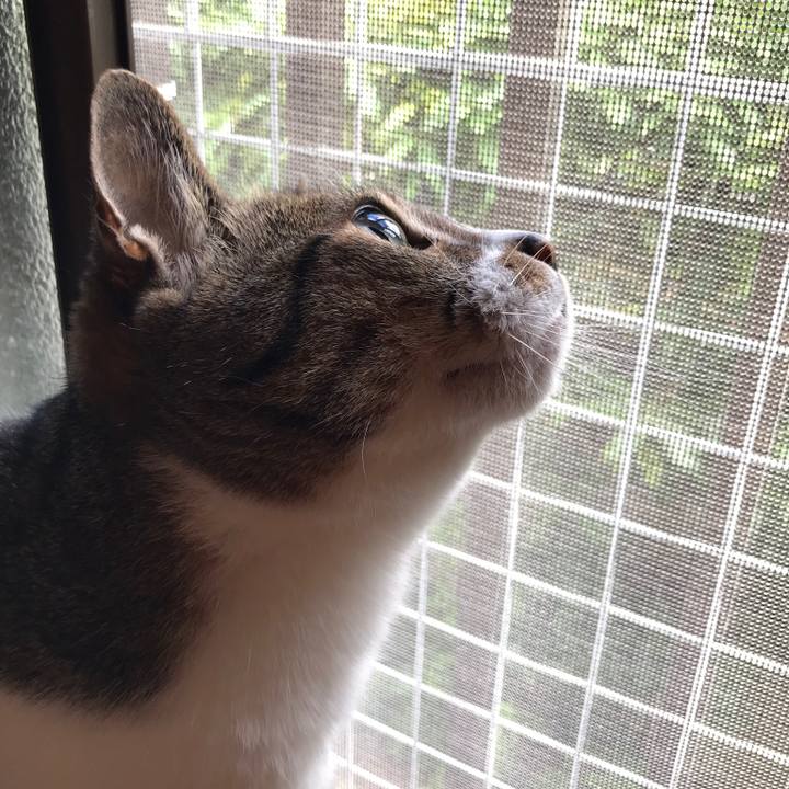 23e4d79e d638 4884 845e 75848037e09a 1529025160060