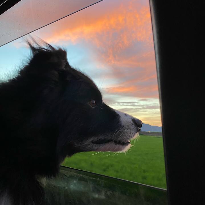 23e4d840 1c16 40b0 9def 11a8ac7ec873 1626953572097